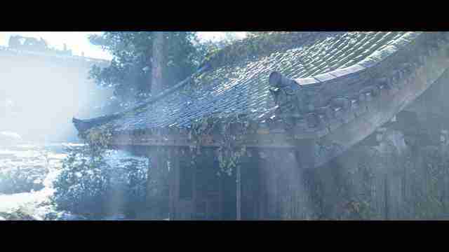 不喜欢尼 《刺客信条:影》能买吗?