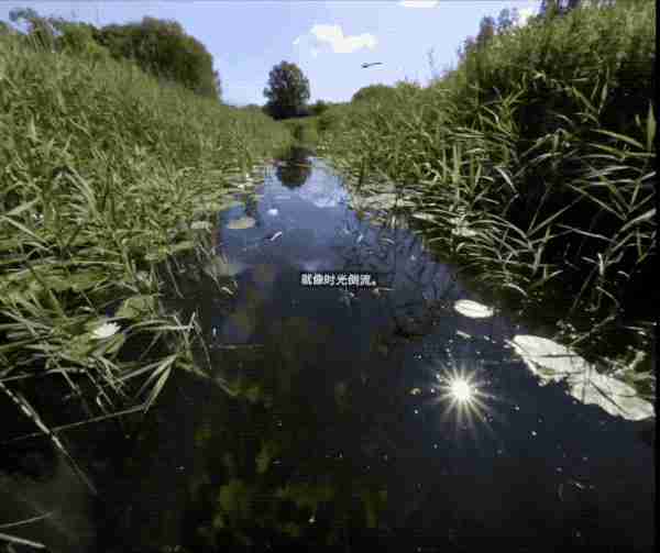 vivo Vision 探索版：398 克超轻机身 一次谨慎而勇敢的“视界”初探 