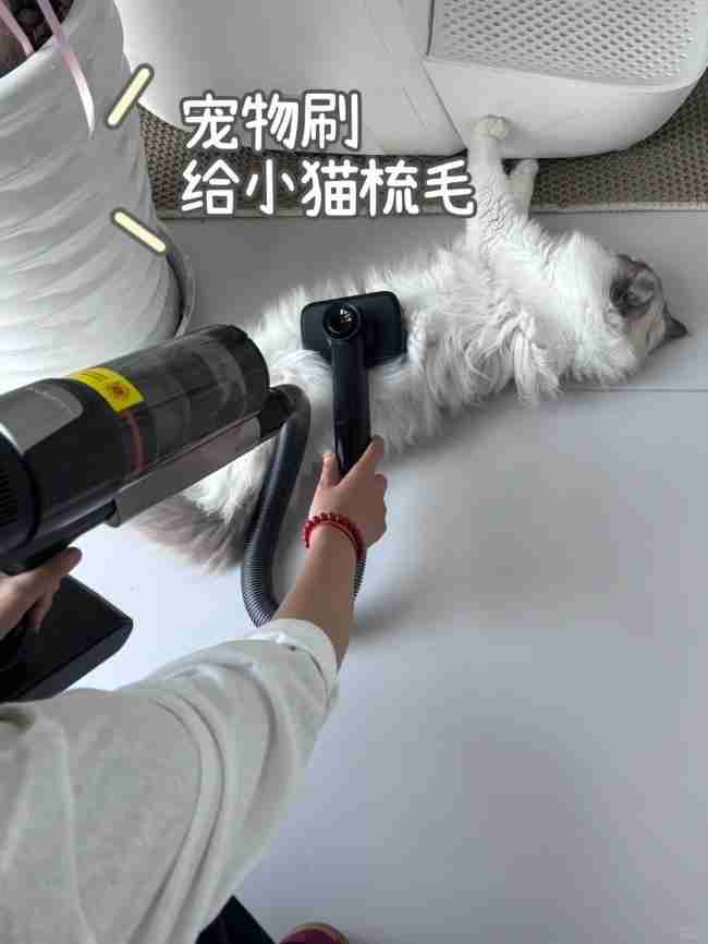 洗地机与吸尘器终极科普：功能、差异与选购全指南