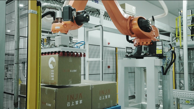 云上营家：从“黑灯工厂”到全球餐桌，数字冷链如何重塑云南农业