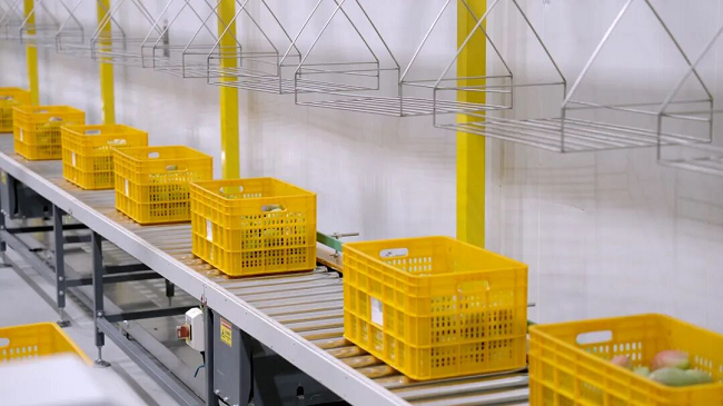 云上营家：从“黑灯工厂”到全球餐桌，数字冷链如何重塑云南农业