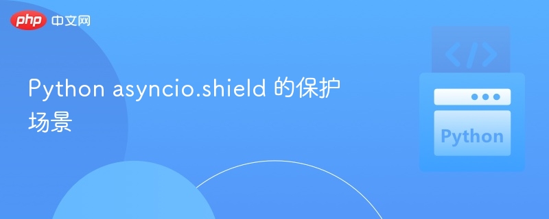 Python asyncio.shield 的保护场景