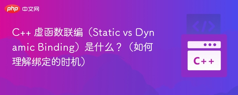 C++ 虚函数联编（Static vs Dynamic Binding）是什么？（如何理解绑定的时机）