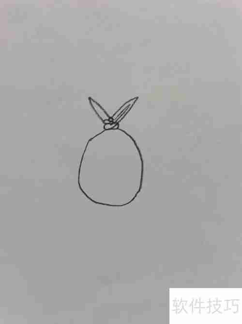 越狱兔:简单又可爱的兔子画法教程