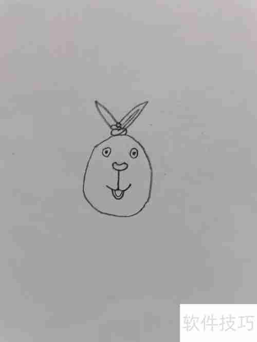 越狱兔:简单又可爱的兔子画法教程