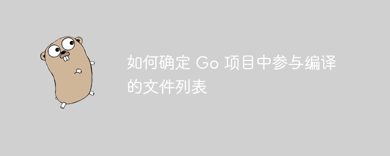Go 项目编译文件怎么找？