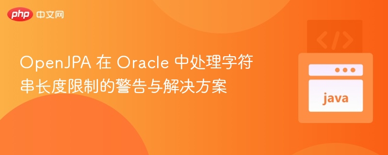 OpenJPA 处理 Oracle 字符串限制警告及解决办法