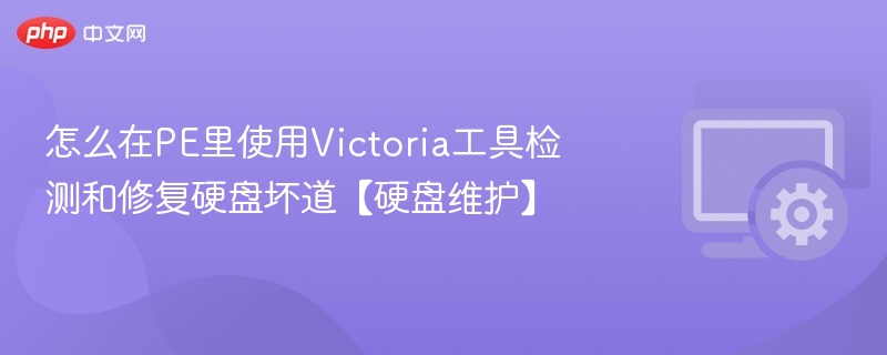 PE中使用Victoria检测修复硬盘坏道方法