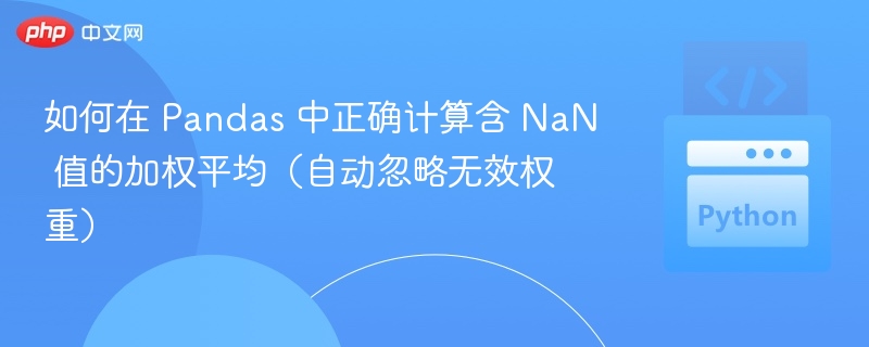 Pandas 计算带 NaN 的加权平均方法