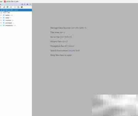 DataGrip连接Oracle数据库指南