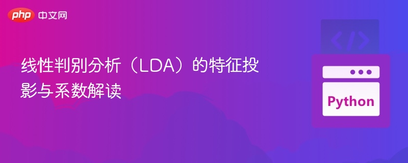 LDA特征投影与系数详解