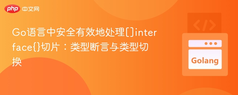 Go语言处理interface{}切片：类型断言与切换技巧