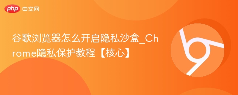 谷歌浏览器开启隐私沙盒教程