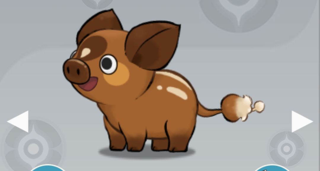 《山海进化录》最强宠物鲲的养成攻略