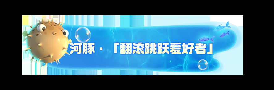 《我是小鱼儿》四大鱼类一览