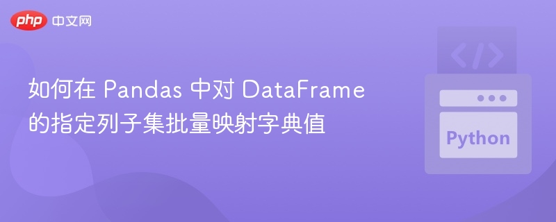 Pandas DataFrame 列子集批量映射字典方法