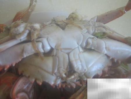 河蟹如何判断是否安全食用