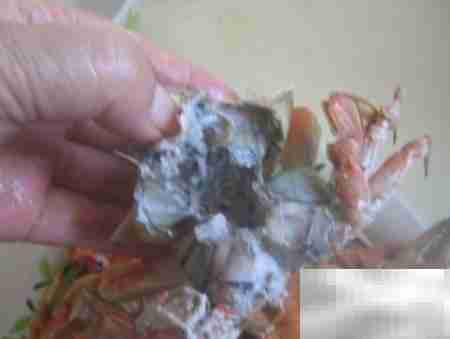 河蟹食用安全判断方法