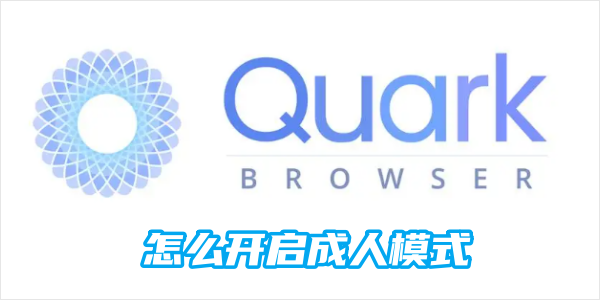 夸克浏览器怎么开启成人模式?夸克浏览器设置成人模式的方法