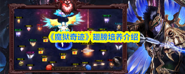 魔狱奇迹翅膀怎么培养-翅膀培养介绍