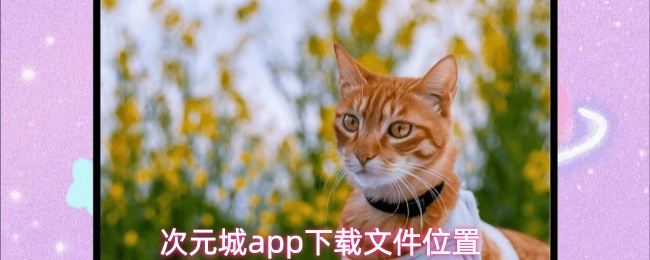 次元城app下载的文件在哪-下载文件位置