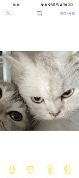 宠物相机app使用教程