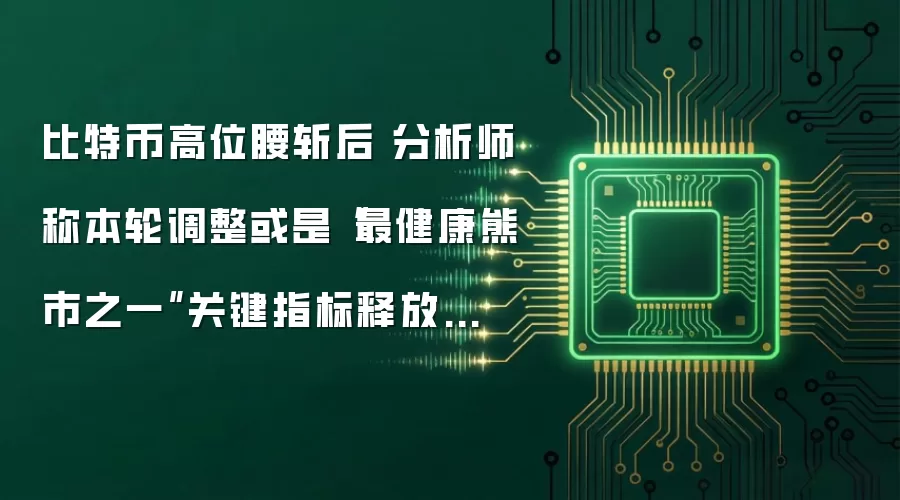 比特币高位腰斩后 分析师称本轮调整或是“最健康熊市之一”关键指标释放筑底信号