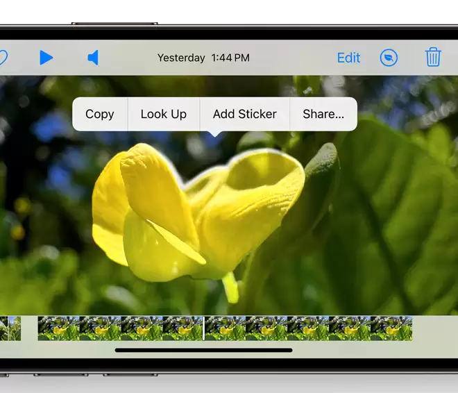 iOS 17 值得留意的细节改进汇总:实用离线地图、支持看图查询菜谱等 iOS 17 值得留意的细节改进汇总:实用离线地图、支持看图查询菜谱等