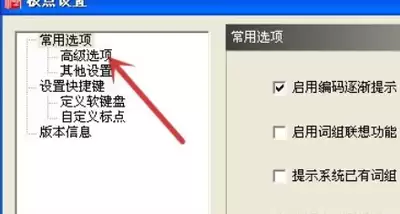极点五笔输入法如何设置定义软键盘