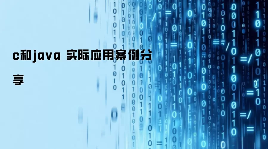 c和ja va 实际应用案例分享