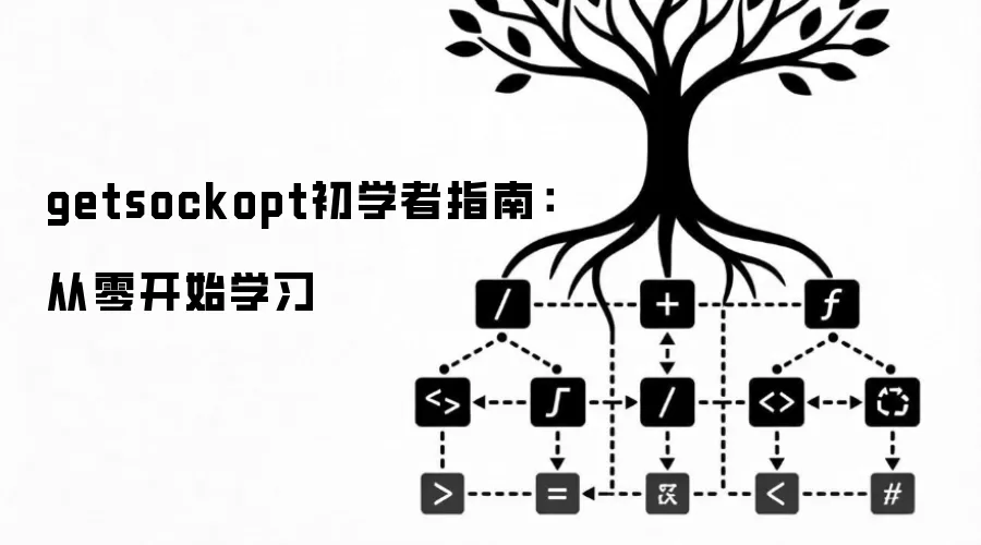 getsockopt初学者指南：从零开始学习