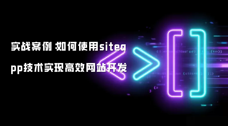 实战案例：如何使用siteapp技术实现高效网站开发