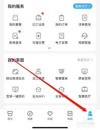 我的订单查询指南
