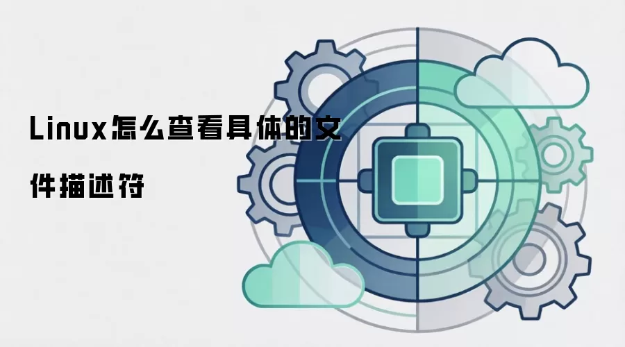 Linux怎么查看具体的文件描述符