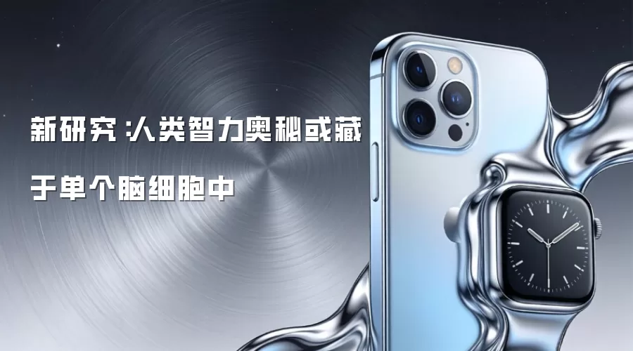 新研究：人类智力奥秘或藏于单个脑细胞中