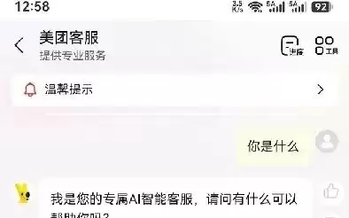 不止处理外卖业务，网友实测美团AI客服还能写代码