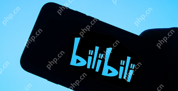 bilibili官方平台快速入口