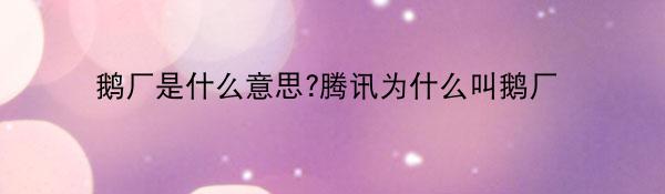 profile photo - 鹅厂是什么意思?腾讯为什么叫鹅厂